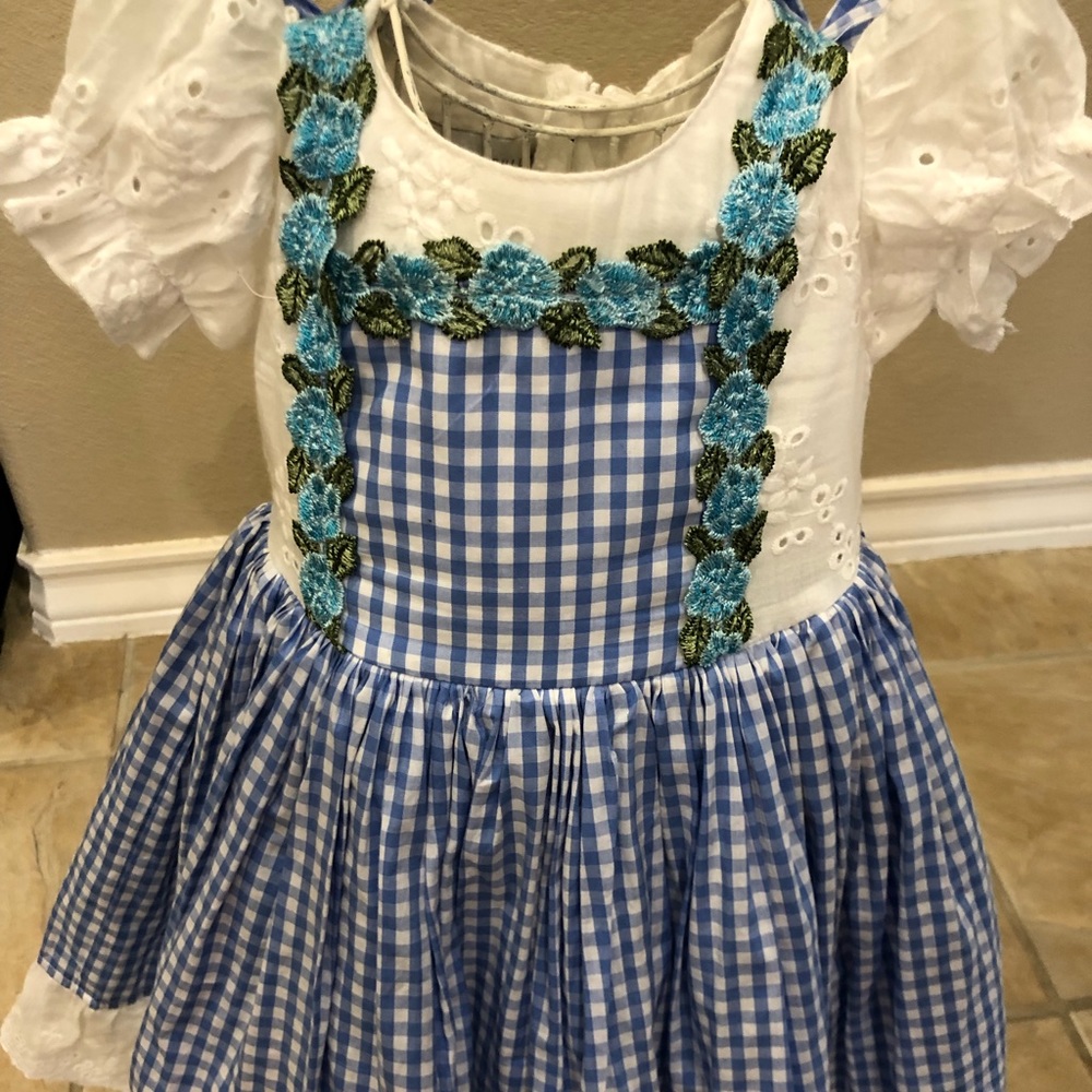 Dorthy Costume